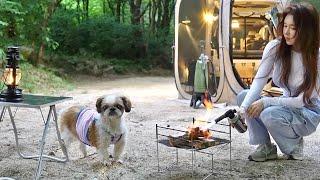 Solo camping in a car tent in a deep forest with a 16 year old dog