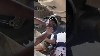 Truck Crown Wheel Repair #truck #crown #pinion #repair #dashmeshmotergarage #workshop