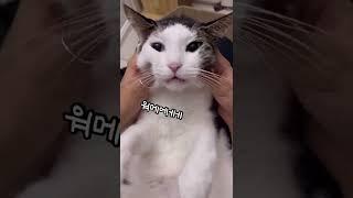 가나다랴!므아 그만해!! 내가 왜..