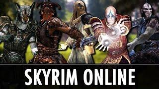 как играть в skyrim по сети с другом все способы 2020