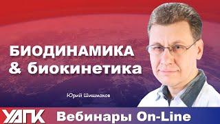 Вебинар: Биодинамика и Биокинетика (Юрий Шишмаков)