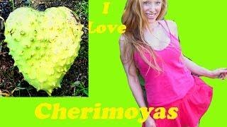 What's A Cherimoya?