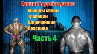 Как накачать мышцы спины. Лучшие упражнения. Техника. Часть 4. Хакинг Бодибилдинга