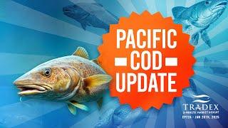 3MMI - Pacific Cod: Lower Alaska TAC, Lower A. Cod Supply Price Pressures, Trump