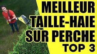 Top 3 Meilleur Taille Haie sur Perche 2024