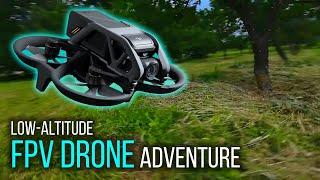 Thrilling Orchard Flythrough – Experience Low-Altitude FPV Adventure!