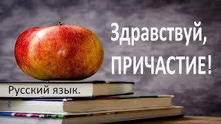 #русскийязык #егэ Причастие как особая форма глагола. Видеоурок