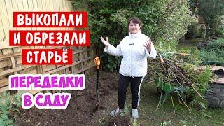 Что мы натворили? Обрезали и убрали то, что росло 16 лет  Переделки в саду.