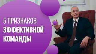 Что такое эффективная команда. 5 признаков эффективных команд.