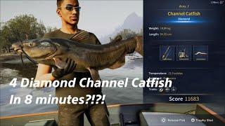 Diamond Channel Catfish Guide|4 Diamonds in 8 minutes! Call Of The Wild:The Angler