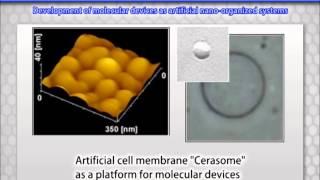 Biomimetic Materials Science 2013