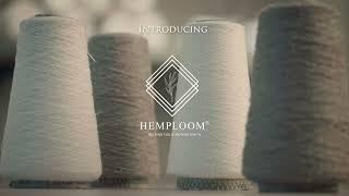 Unveiling Our Revolutionary Hemp-Based Retail Studio: A Sustainable Vision