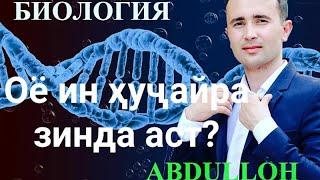 Анатомия(2)./ Хосиятҳои ҳаёти ва таркиби химиявии ҳуҷайра. #Биология #Анатомия Dr. Abdulloh