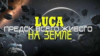 ПРЕДОК всего живого на Земле LUCA