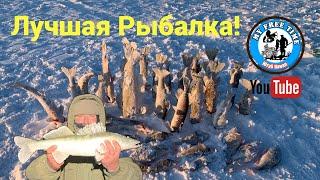 Рыбалка в мороз! Судак Щука Окунь! Султан Заповедник! Рыбалка на Судака!