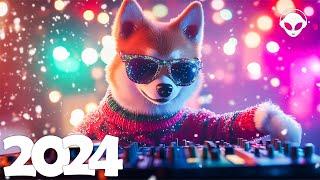 Bass Boosted EDM Music Mix 2024  Popular Song Remixes  Top EDM Tracks of 2024