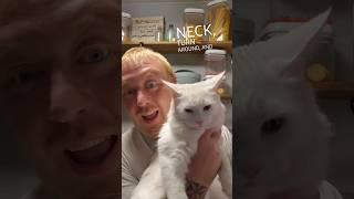Dad & Aurora: Cats Are Creepy 