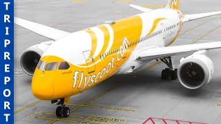 Is SCOOTPLUS a RIP OFF? - Scoot | Boeing 787-8 | Berlin - Athens