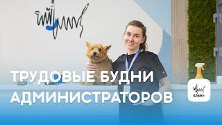 Трудовые будни администратора ветеринарной клиники