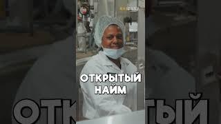 Он дает работу всем желающим