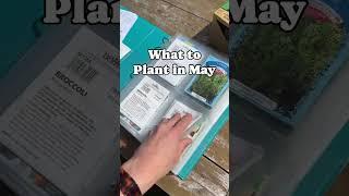 What to Plant in May