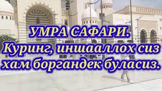 УМРА 2022#САФАРИ.UMRA 2022#SAFARI.Киргизстоликлар.