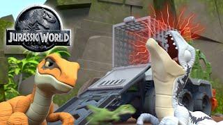 Jurassic World | Owens wild Dino adventures | @Imaginext®