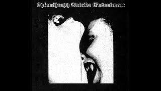 V/A - Lykanthropy Suicide Ensoulment (Compilation 2025)