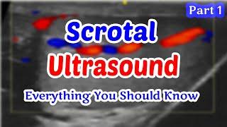 Scrotal Ultrasound Everything You Should Know (part 1)