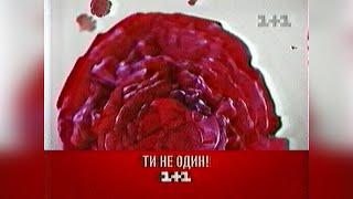 Анонс + Реклама - телеканал 1+1 [09.05.2009]