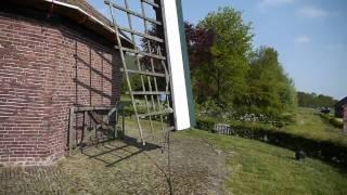 Rondje om de molen: Den Olden Florus / Kallenbroeker Molen te Terschuur