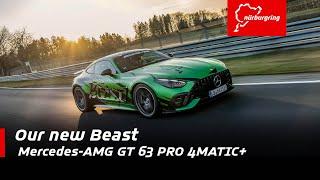 Our Beast: Co-Pilot Mercedes-AMG GT 63 PRO