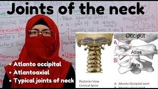 Joints of the neck | Atlanto occipital |Atlanto axial | typical Joints of the neck | neck anatomy