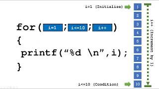 for loop in C | for loop in C++ | for loop in Java | for loop in C#