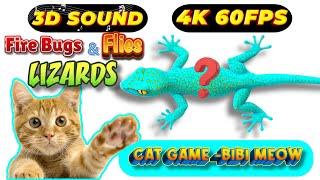 CAT GAMES TOM TV & BiBi | Ultimate Compilation Catching The LIZARDS , Flies, FireBugs11 HOURVol 99