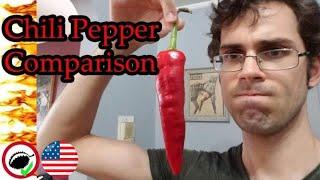 Hot Chili Reviews - Baclouti & Mutt Pepper