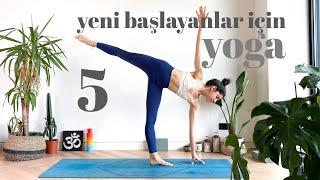 Yeni Başlayanlar İçin Yoga  Elvin ile Yogaya Başla #5 Mat Hediyeli 