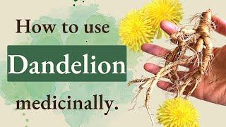 Dandelion! 3 Healthy Uses & Remedies