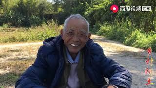 乡村阿土：农村养牛赚不赚钱？一头牛能卖10000多，听听放牛老师傅怎么说