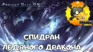 Ice Dragon Nest 4-man | Project Duck DN