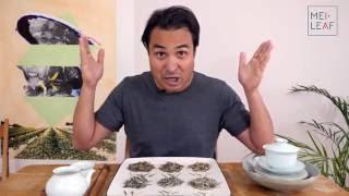 How to Choose Silver Needle Tea