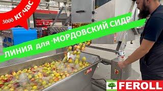 Линия сока прямого отжима для "Мордовский Сидр" 3000 кг/час