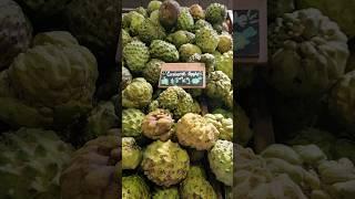 The tropical fruit world #shorts #rarefruits #farmlife #thebestlife #travel #queensland #sunshine