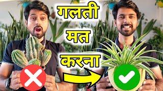 16 Podhe aapke ghar per hone hi chaiye | Free Gifting Plants