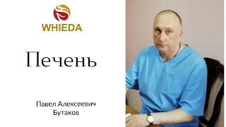 Наша печень.  Бутаков Павел Алексеевич