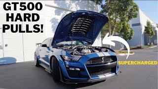 HARD PULLS IN A MODIFIED 2020 FORD MUSTANG SHELBY GT500!