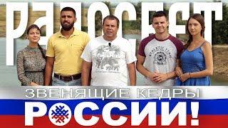 Новости поселения Радосвет. Выпуск 8 "Звенящие кедры России!"