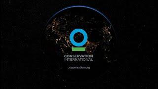 The Story of Conservation International (Overview)