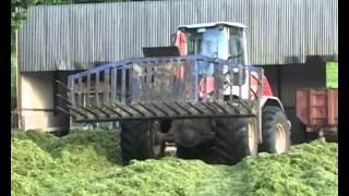 Loaders at silage