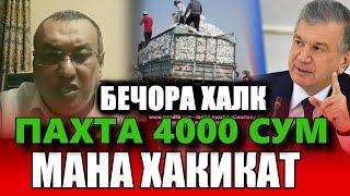 ТАНКИД ! БУ АКАМИЗ БАРЧА ХАКИКАТЛАРНИ АЙТИБ  ТАШЛАДИ .МАНА СИЗГА ХАКИКАТ.....